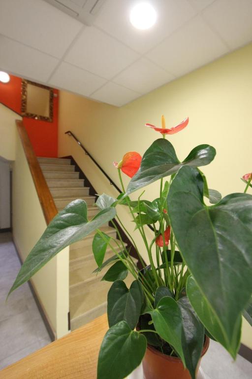 Le Provencal Hotell Tarascon Eksteriør bilde